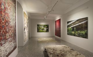 Showroom decorated with wall mounted rugs and artwork