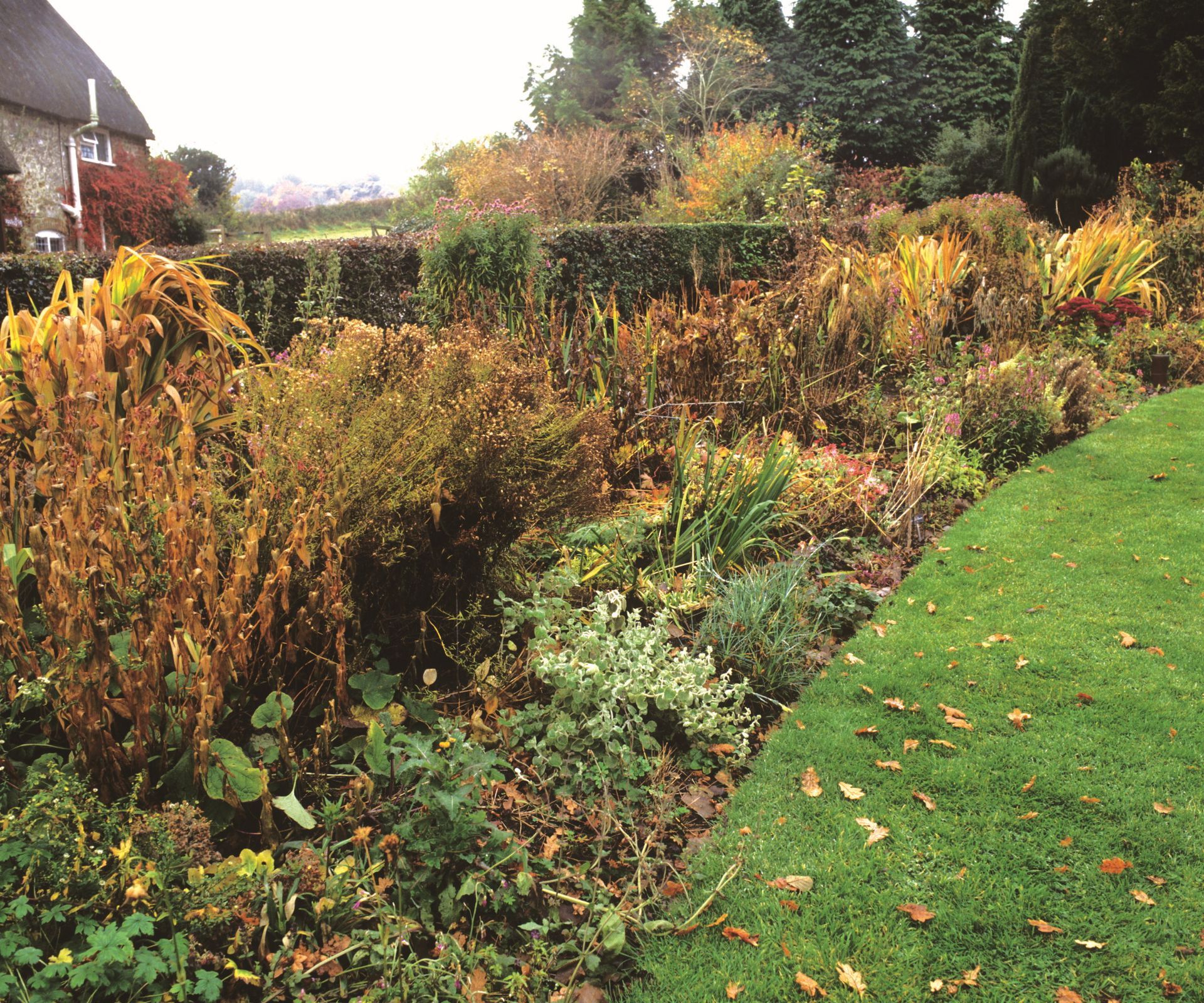 A fall flower border, with fallen leaves and browning stems
