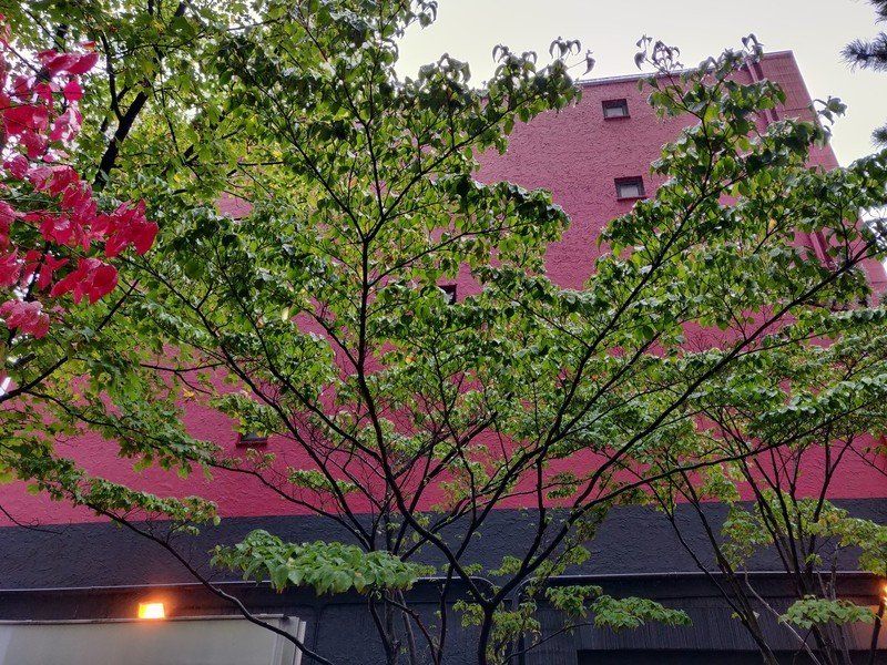 OnePlus 6T photo sample