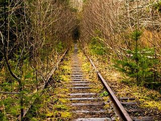 Abandoned Tillamook Railroad