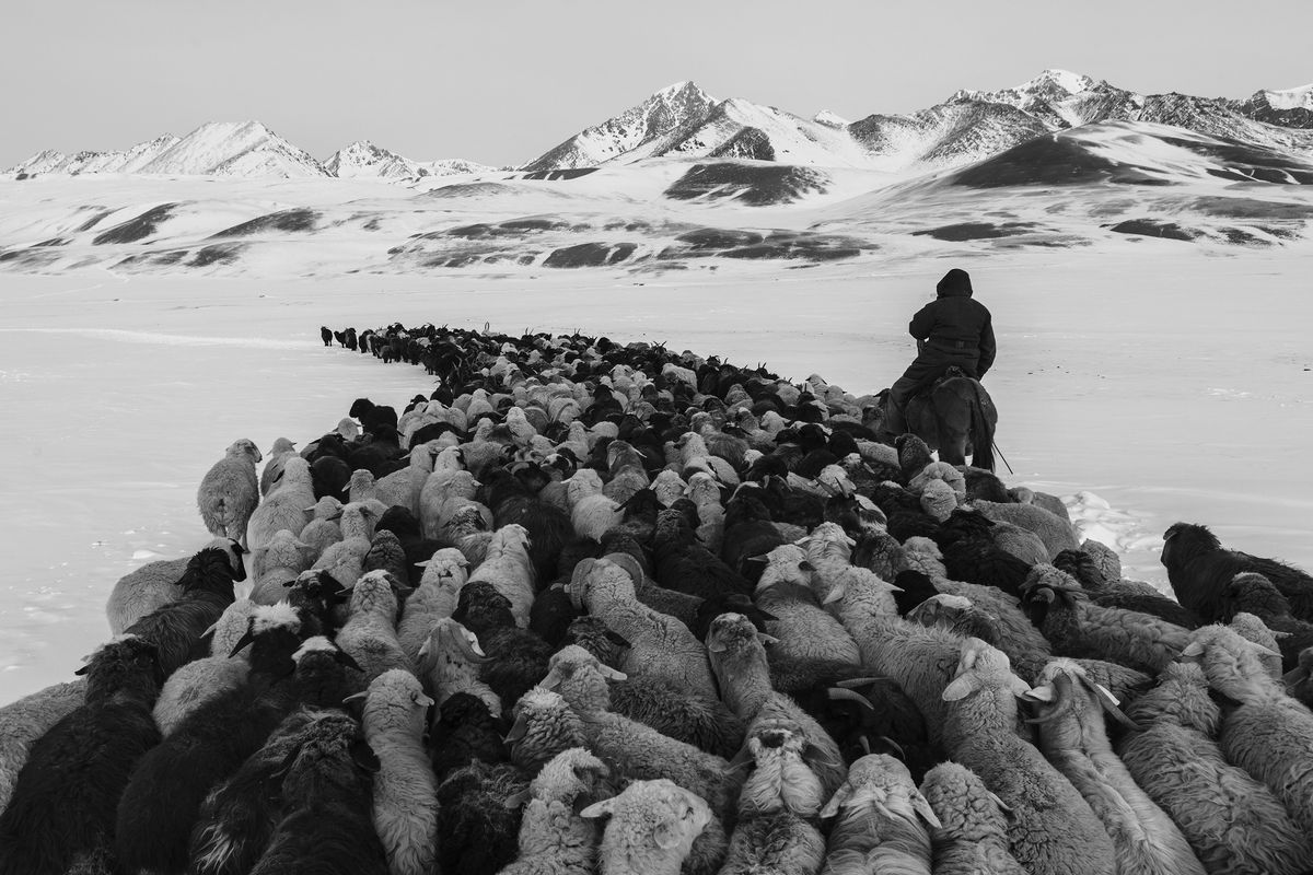 Photographer of the Year &ndash; Frederik Buyckx, Belgium