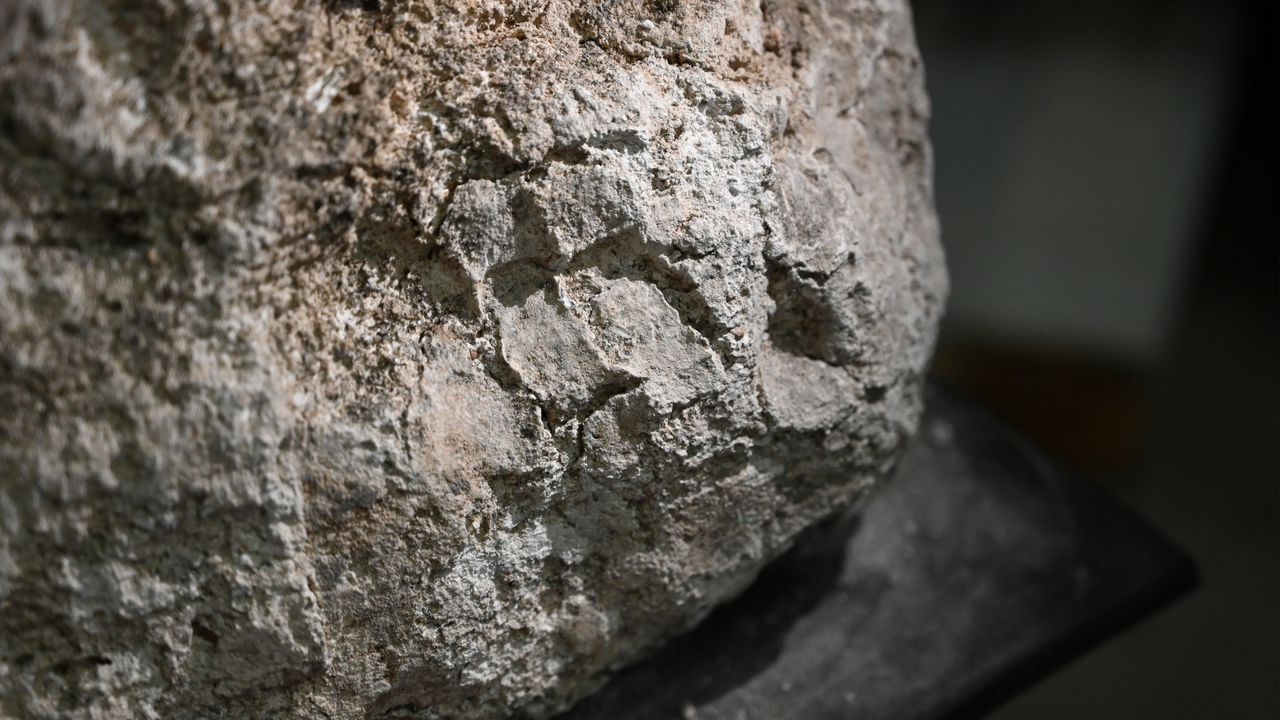 pieces of plaster with fingerprints in them