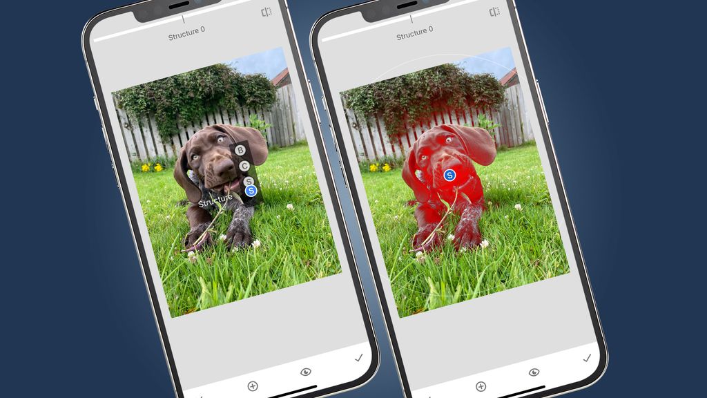 How to take amazing pet and dog photos with your phone (according to