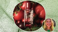 a green leaf frame containing a circular image of arkive headcare no one elsie perfume surrounded by tomatoes and tomato leaves beside a circular image pf beauty editor Fiona McKim wearing a green knitted top, smiling in a garden