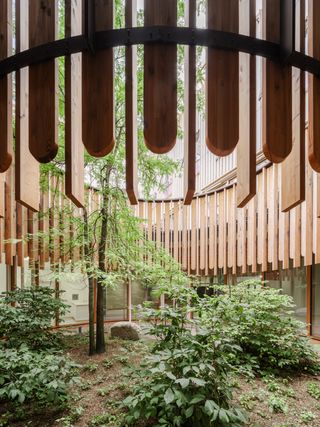 Herzog & de Meuron Children's Hospital in Zurich timber building interior and exterior engulfed in foliage