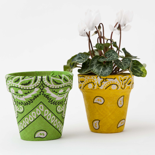 patterned plant pots