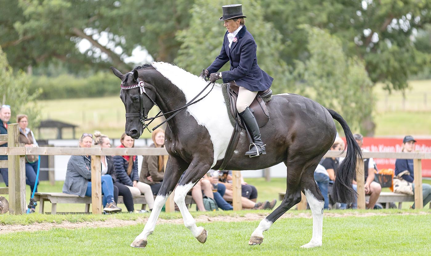 Jayne Ross and KBF Lucia win the Alan Marnie &amp;amp; Family Skewbald &amp;amp; Piebald Ridden Horse Championship at The Royal International Horse Show