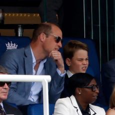 Prince William and Prince George interact at a cricket match