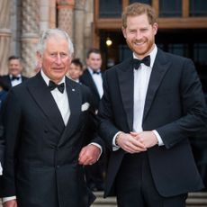 King Charles and Prince Harry attend the "Our Planet" Global premiere in 2019