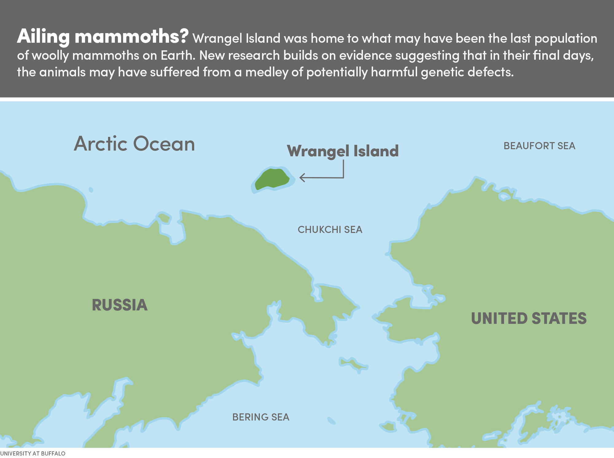  A map shows the location of Wrangel Island in the Arctic Ocean, north of Russia and east of the United States. The island is highlighted in green, and a green arrow points to it. The text on the map reads "Wrangel Island".