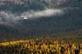 You know Lance Armstrong is in the house when there is a helicopter following the Leadville 100!