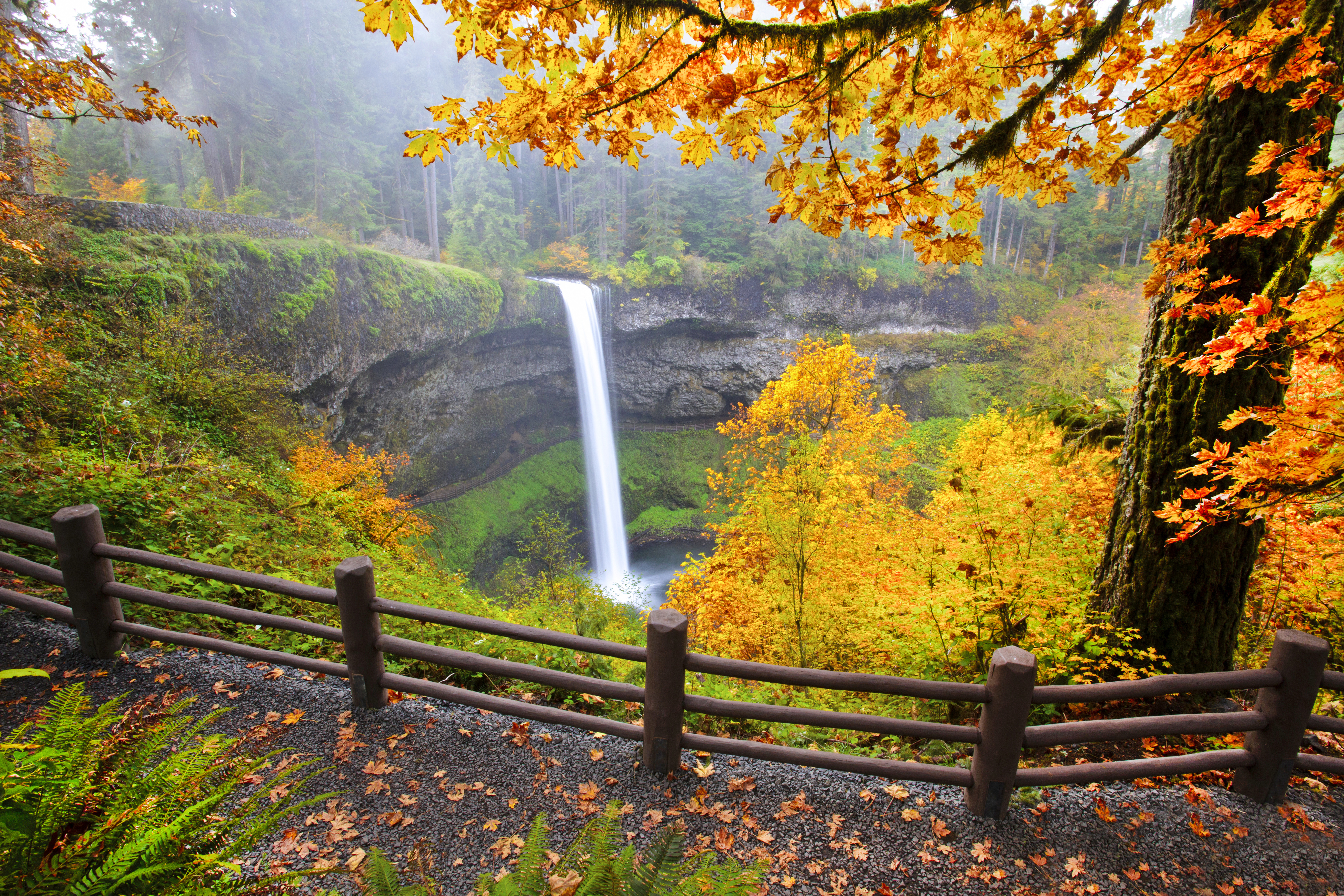 Waterfall into a pool in a lush autumn coloured forest, South Falls in Silver Falls State Park. Oregon, United States of America