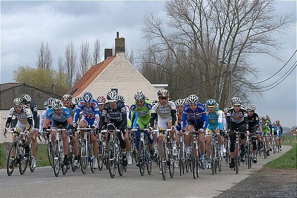 The bunch early on