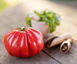 A big tomato and fresh basil leaves on a wooden board