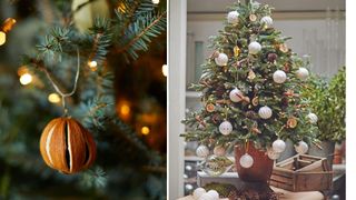 Christmas tree decorating idea with hanging orange slices and cinnamon sticks for scent