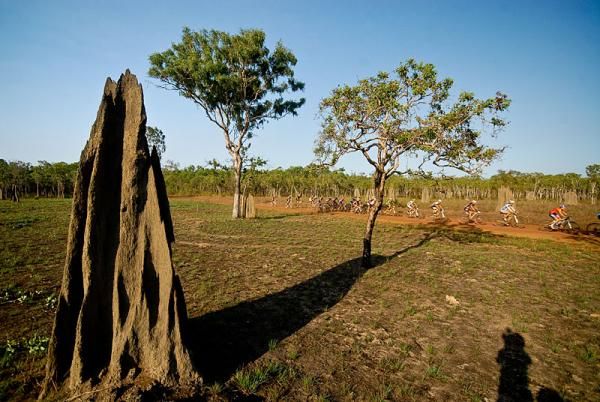 Termite colonies in the Outback