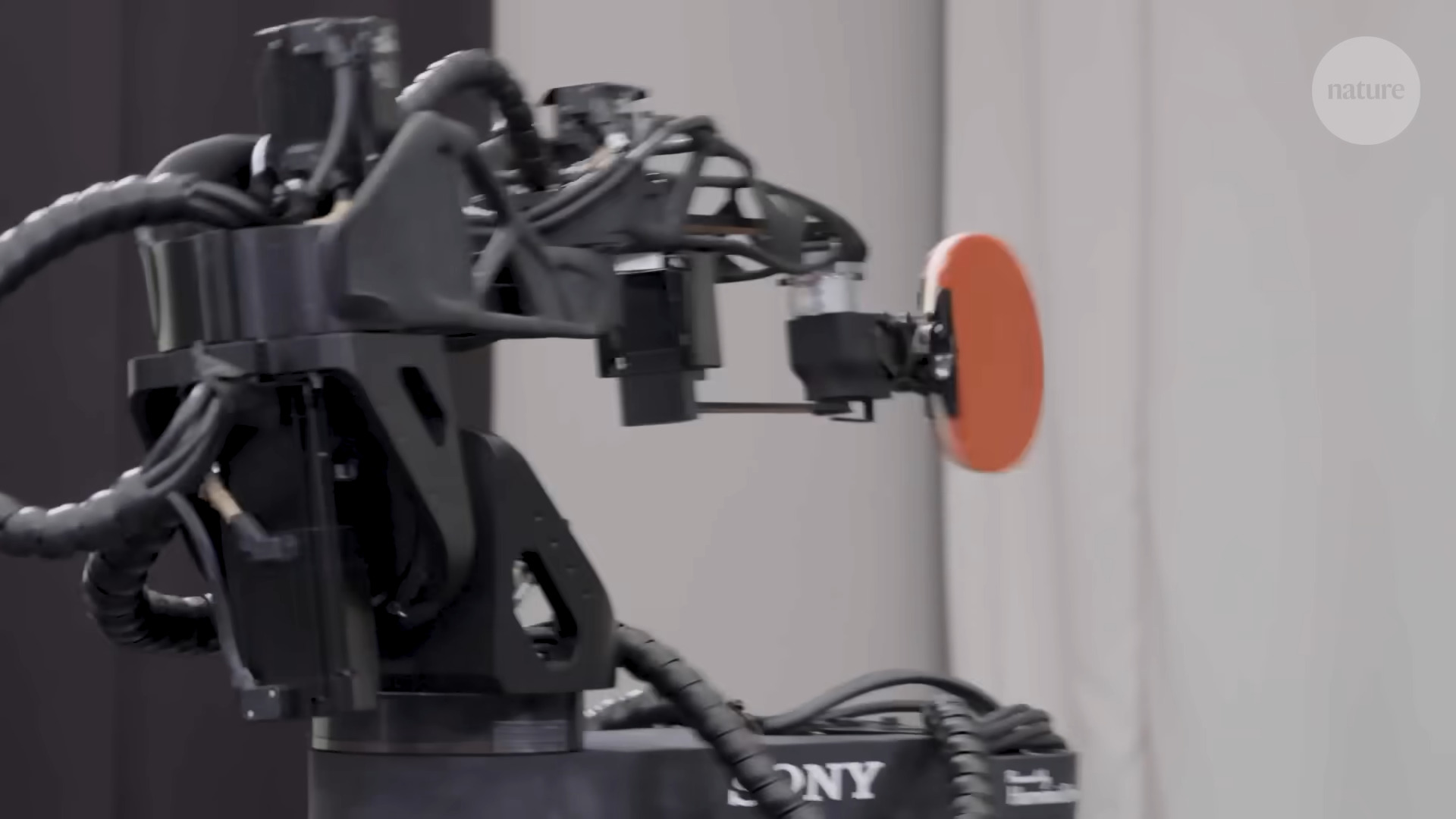 A shot of Sony's Ace robot arm holding a table tennis paddle.