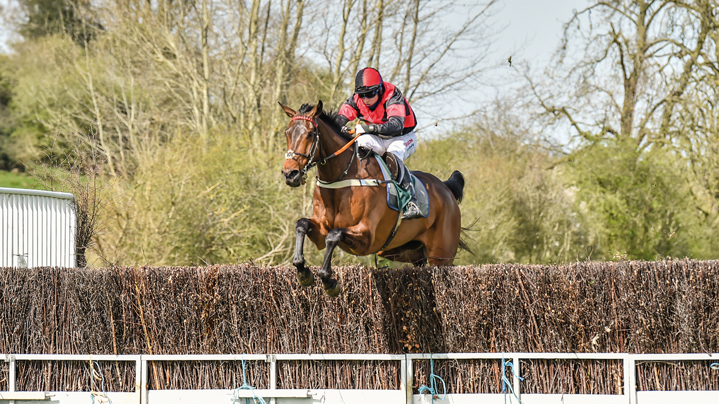 HAH301.p2p_highlights.bradley_gibbs_and_gat_and_co_jess_photography_comm1use.jpg