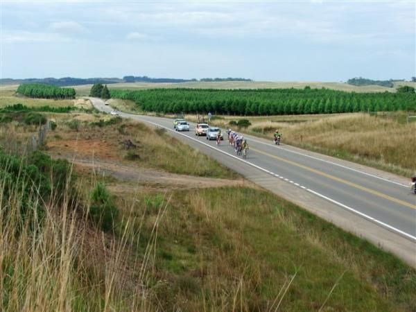 The yellow jersey group rides through fields on stage two