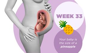 Pregnancy week by week 33