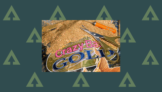 How to choose groundbait: Sensas Crazy Bait Gold groundbaits