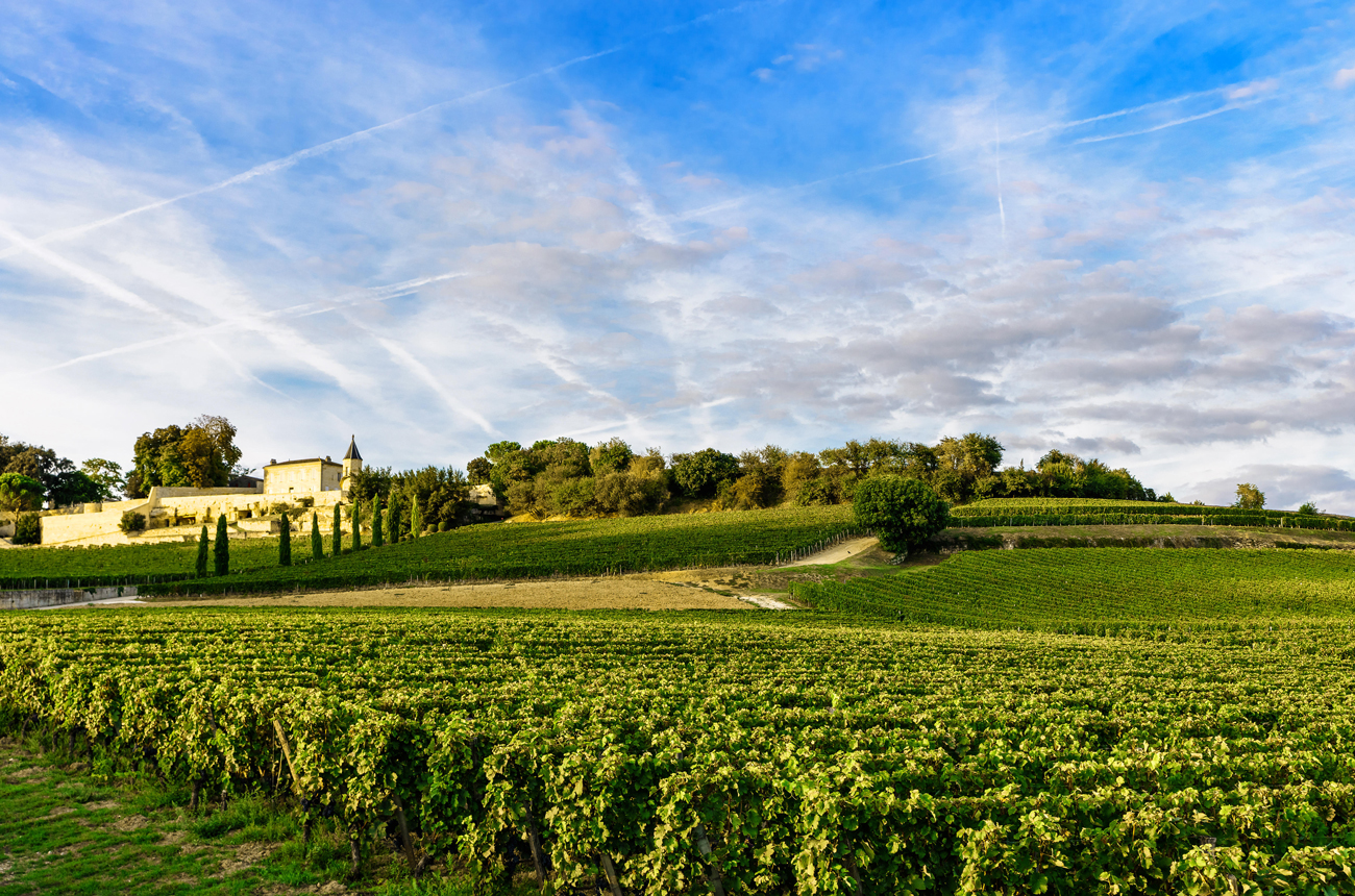 Best Bordeaux 2019 wines