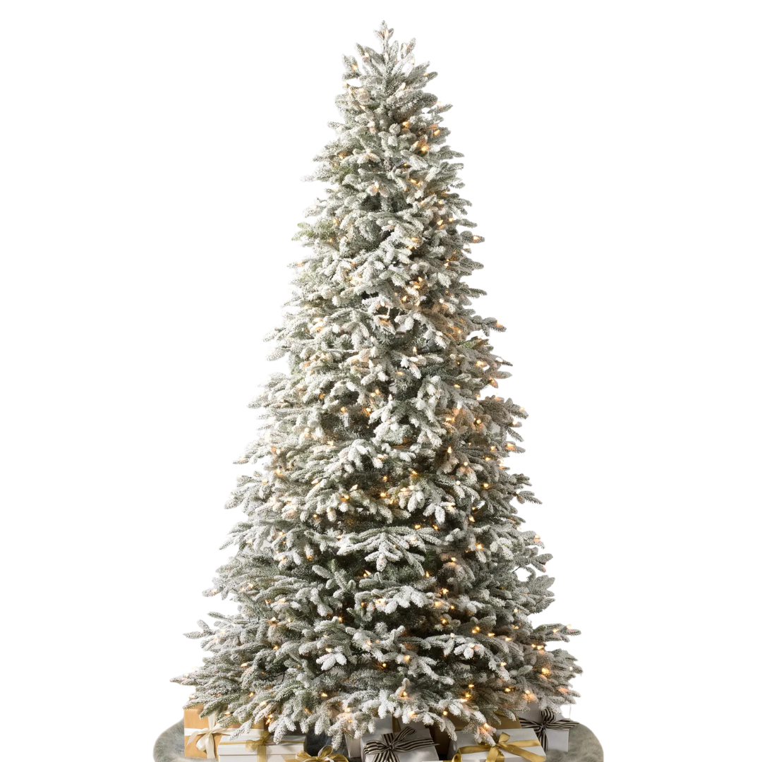 Balsam Hill, Frosted Fraser Fir&amp;reg; Christmas Tree, 5.5&#039;