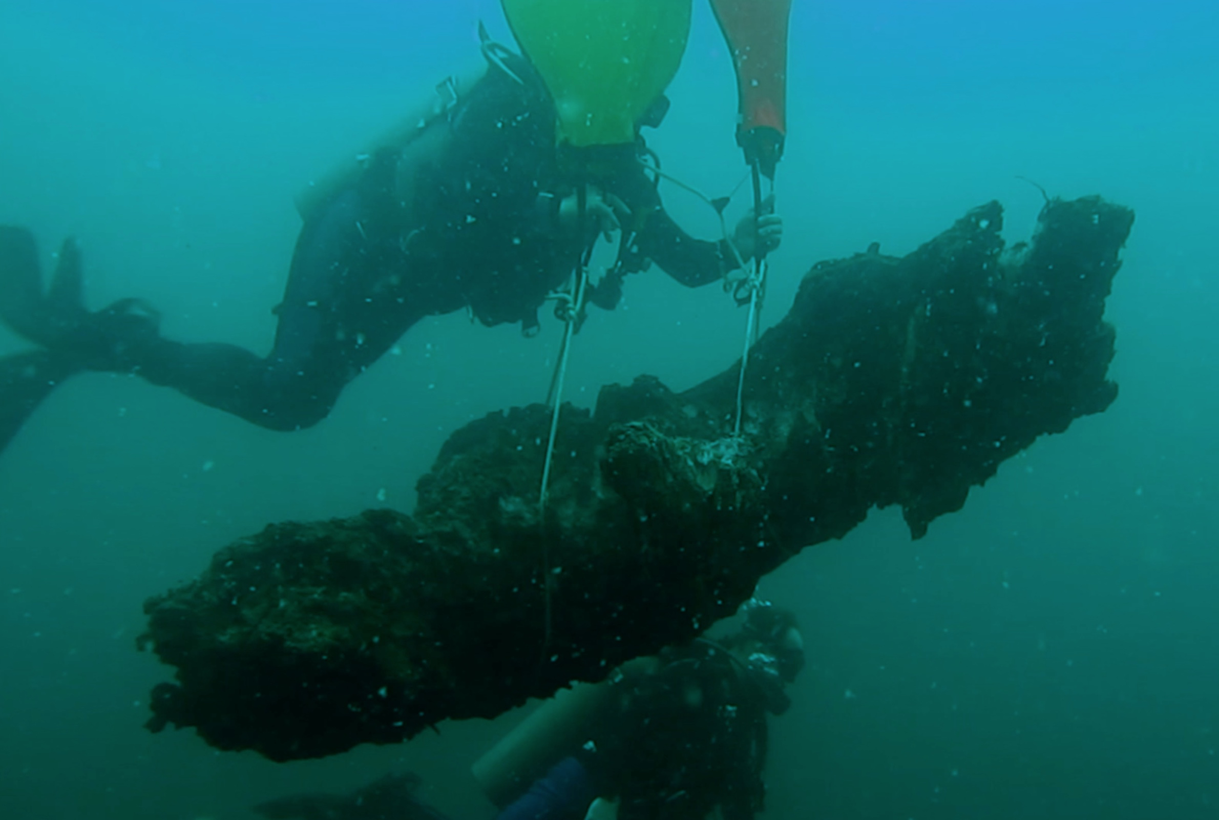 Primeval Underwater Forest