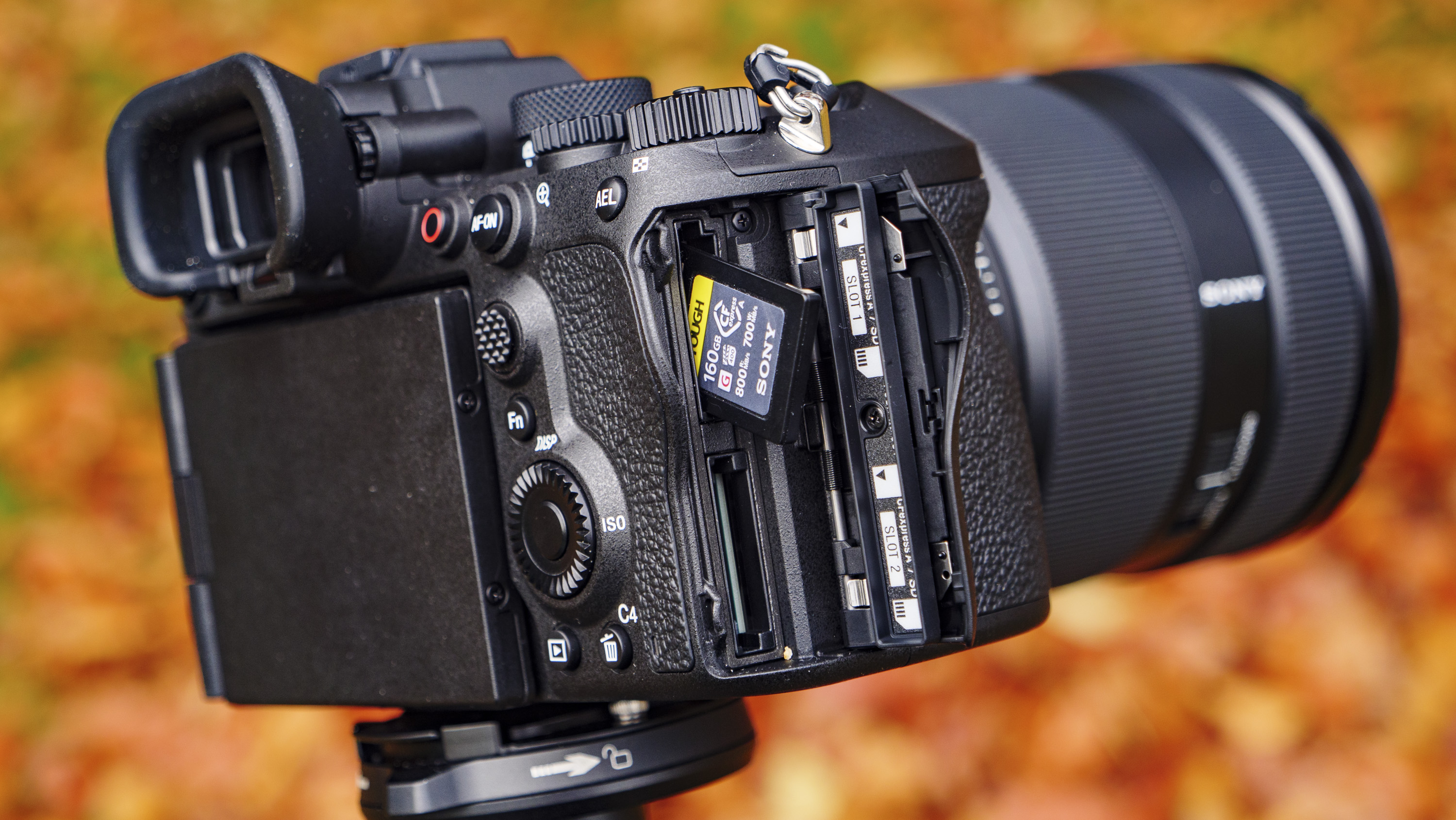 Sony A1 II mirrorless camera's memory card door open with card inside and autumn leaves background