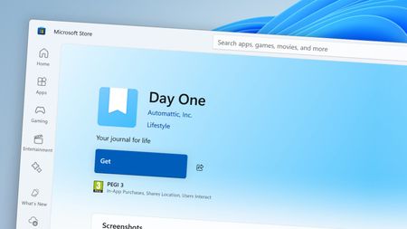 Day One journal app in Microsoft Store on Windows 11