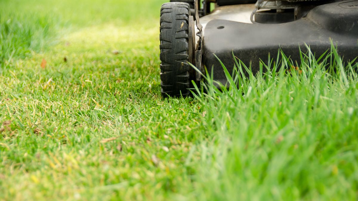 How to mow a lawn, according to the pros | Real Homes