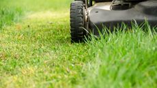 A closeup of a lawnmower cutting the grass