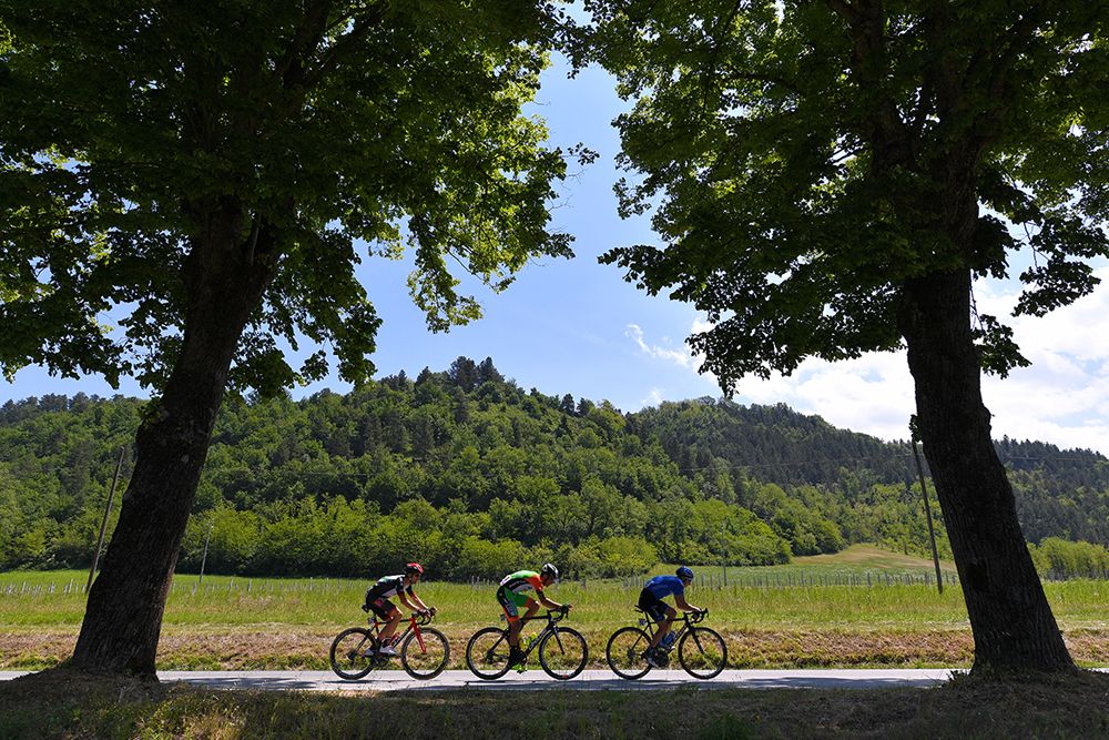 Stage 12 of the Giro d'Italia