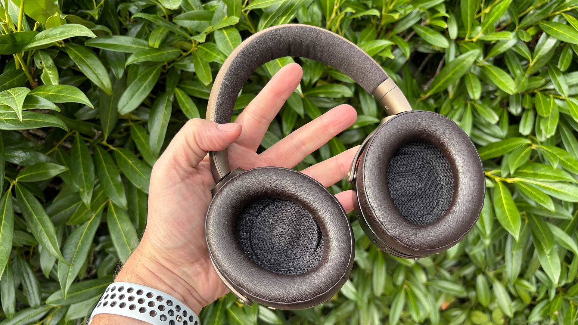 Focal Bathys MG wireless headphones held in hand in front of green bush with inner earcups facing camera