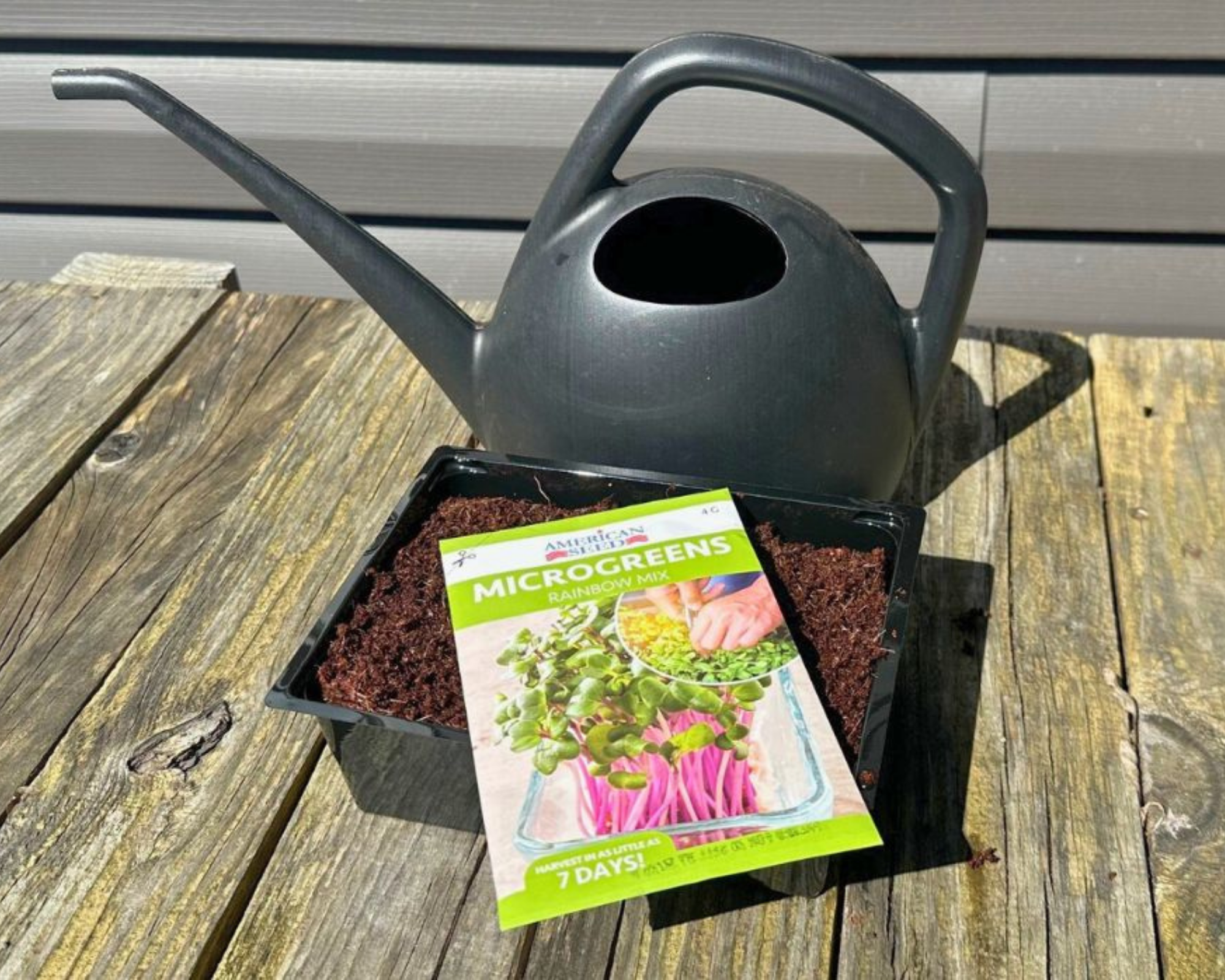 Dollar Tree Mini Greenhouse with Microgreens Seed Pack and Watering Can