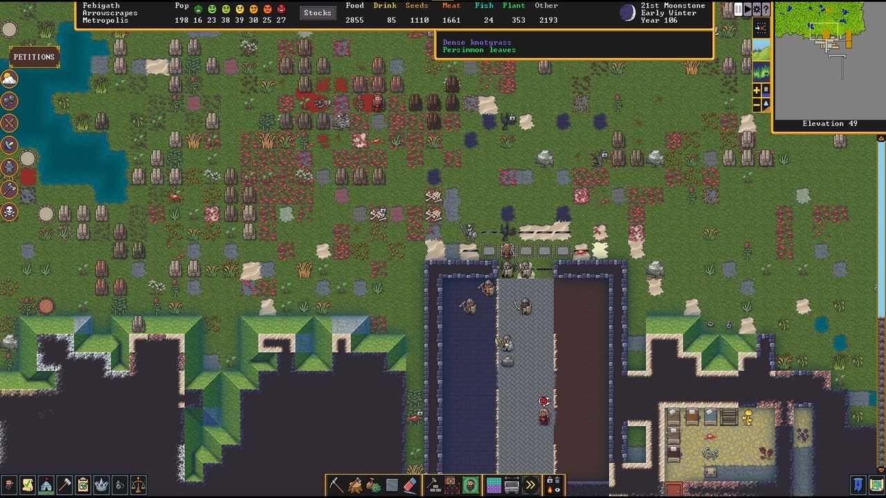 Dwarf Fortress