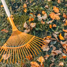 orange garden rake and leaf litter on lawn