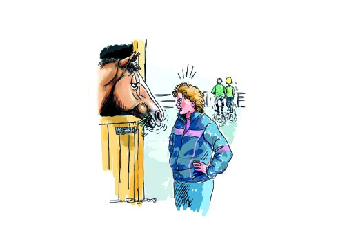 Pain In The Derriere - stable stereotype
