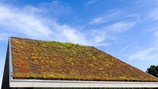 picture of green roof with blue sky