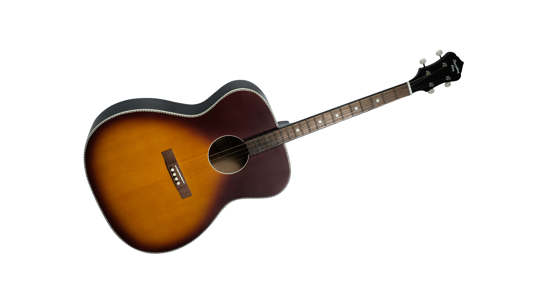 tenor guitar acoustic electric