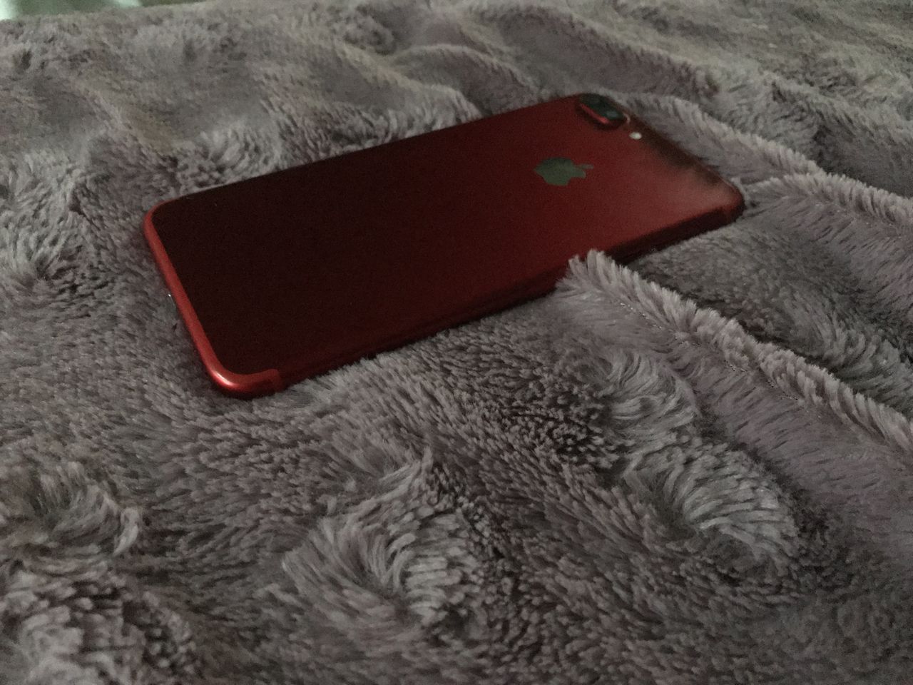 True low-light photos look really grainy in the preview, but come out cleaner