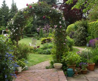rose arch in garden