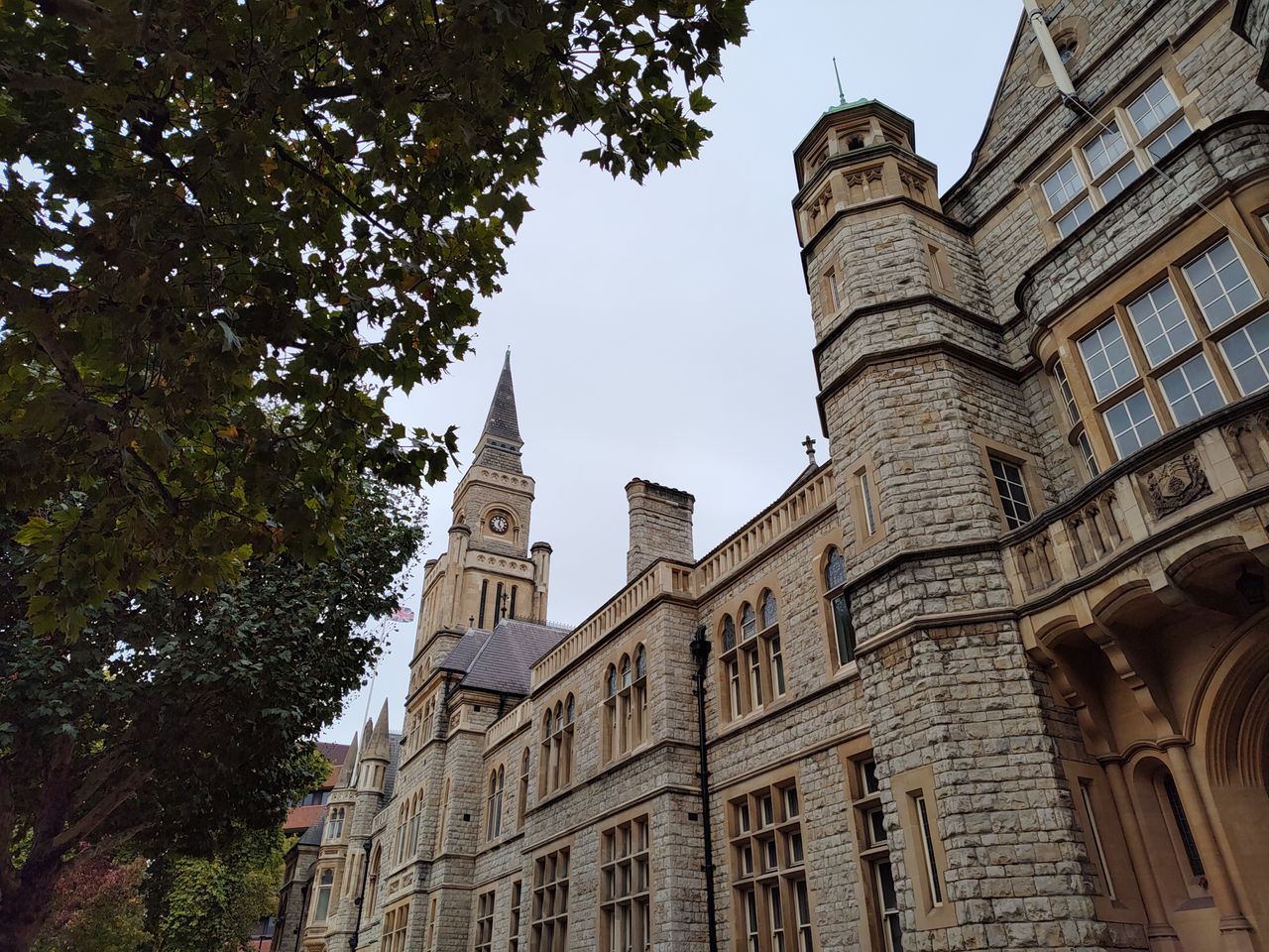 A photo captured on the Motorola Moto Edge 30