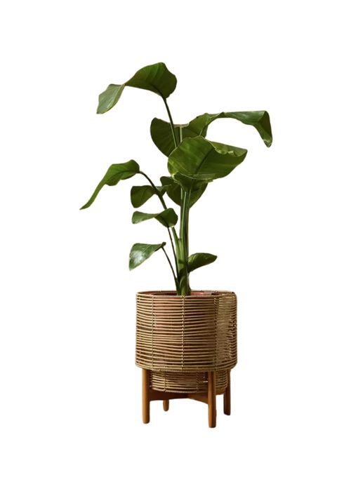 Large Woven Rattan Planter With Stand&nbsp;