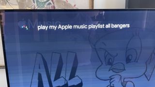 "play my Apple Music playlist" requ the chromecast with google tv