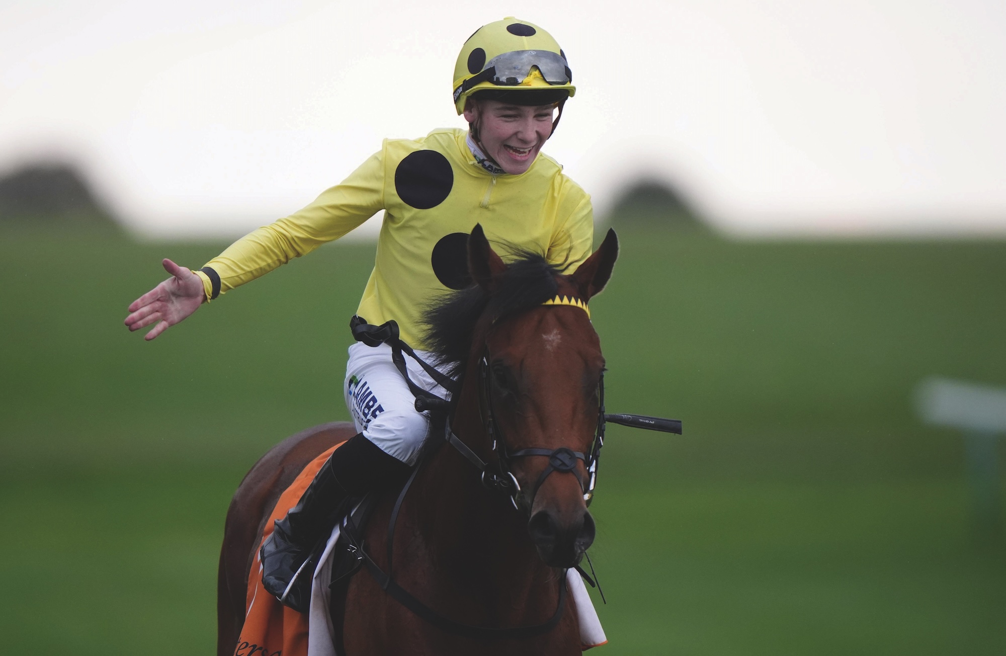 Billy Loughnane pats Bow Echo after a race win