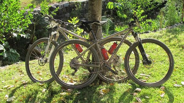 Best bikes for the job