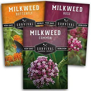 3 Packs Milkweed Seeds 