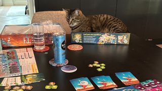 A cat sat in the SETI box beside cards, tokens, and drinks