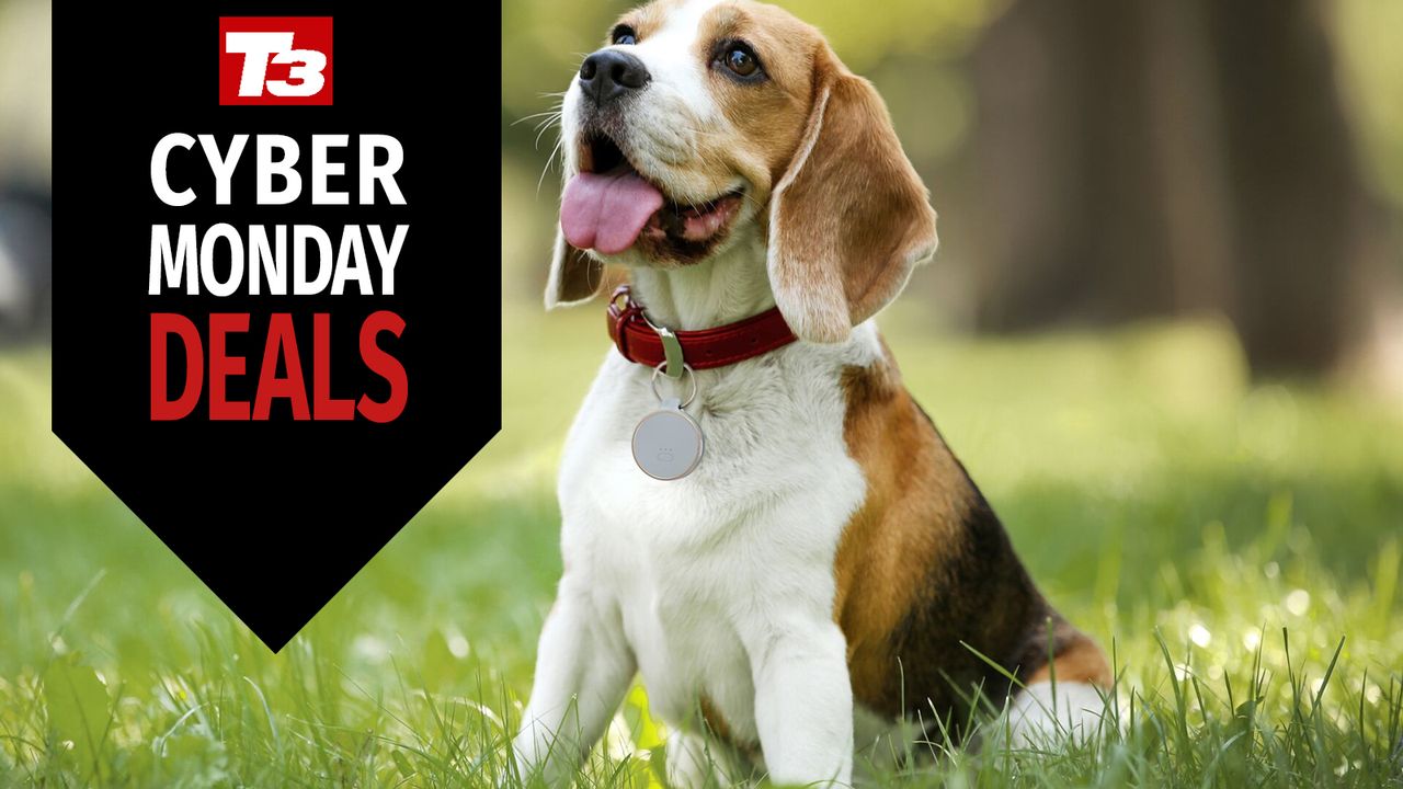 Dog deals Cyber Monday